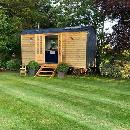 Bannfield Shepherds Hut Ballymoney Esterno foto